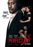 The Perfect Guy (2015) DVDRip Full Movie Watch Online Free Download