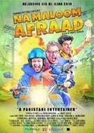 Na Maloom Afraad (2014) DVDRip Hindi/Urdu Full Movies Watch Online Download