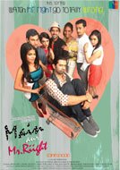 Main Aur Mr. Riight (2014) DVDRip Hindi Full Movies Watch Online Free Download