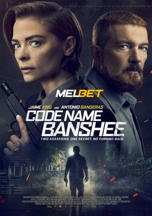 Code Name Banshee (2022) 720p WEB-HD [Hindi (Voice Over) + English]