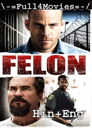 Felon (2008) 720p 480p BluRay [Hindi (DD2.0) + English]