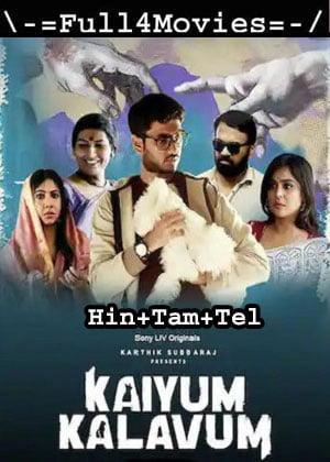 Kaiyum Kalavum – Season 1 (2022) WEB-HDRip [EP 1 to 8] Multi Audio [Hindi + Tamil + Telugu]