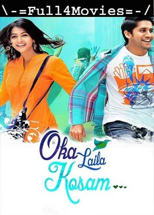 Love Action Dhamaka Oka Laila Kosam (2014) 1080p | 720p | 480p WEB-HDRip [Hindi (DD2.0)]